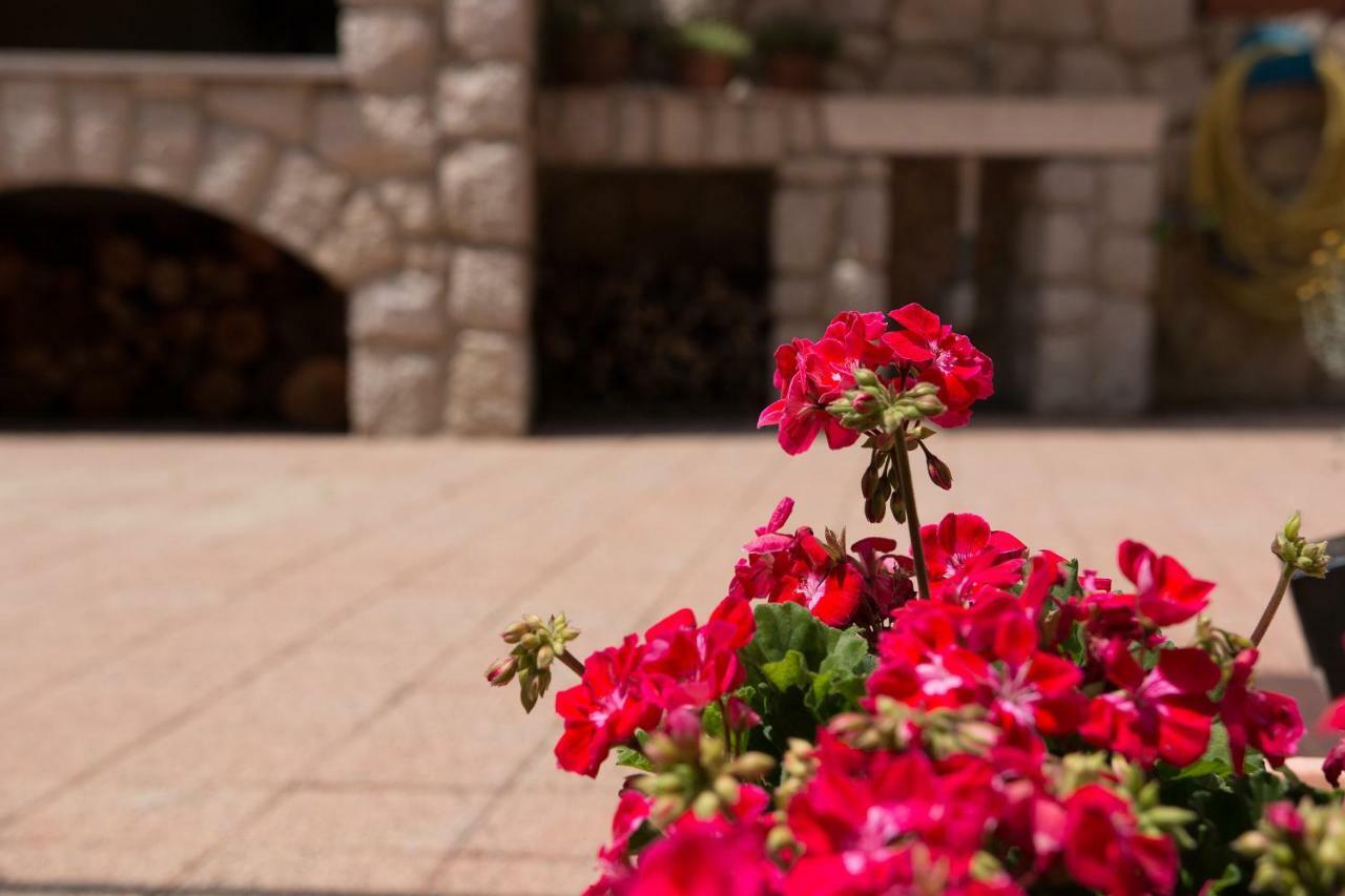 Apartments Eva Cres Εξωτερικό φωτογραφία